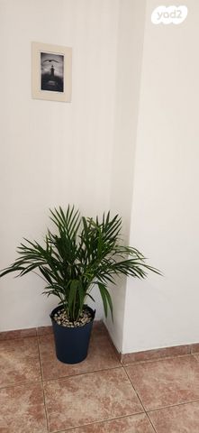 דירה, מענית 4, סביוני הכפר, כפר סבא