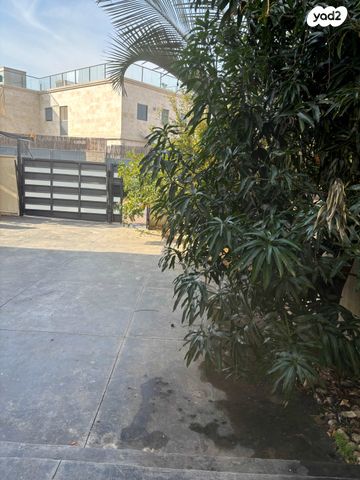 מאיר אריאל 6