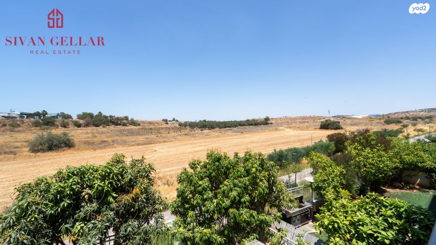 דירה, תירוש, כרמים, שוהם