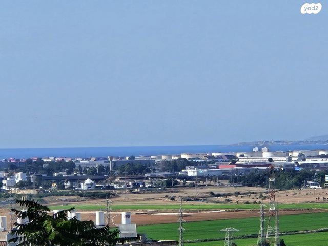כליל החורש 