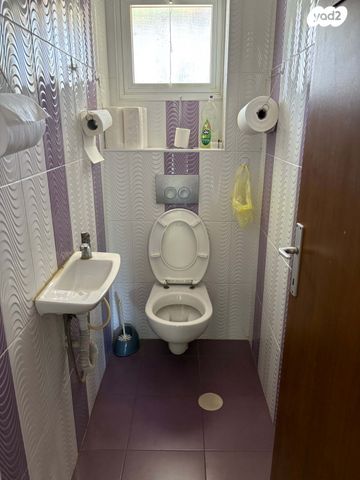 דירה, כוכב הצפון, אשקלון