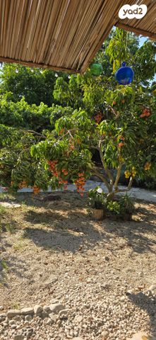 בית פרטי/ קוטג'