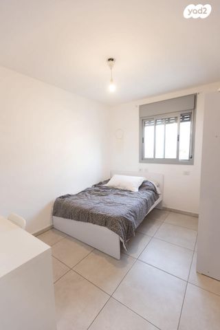 דירה, הגל, החותרים, טירת כרמל