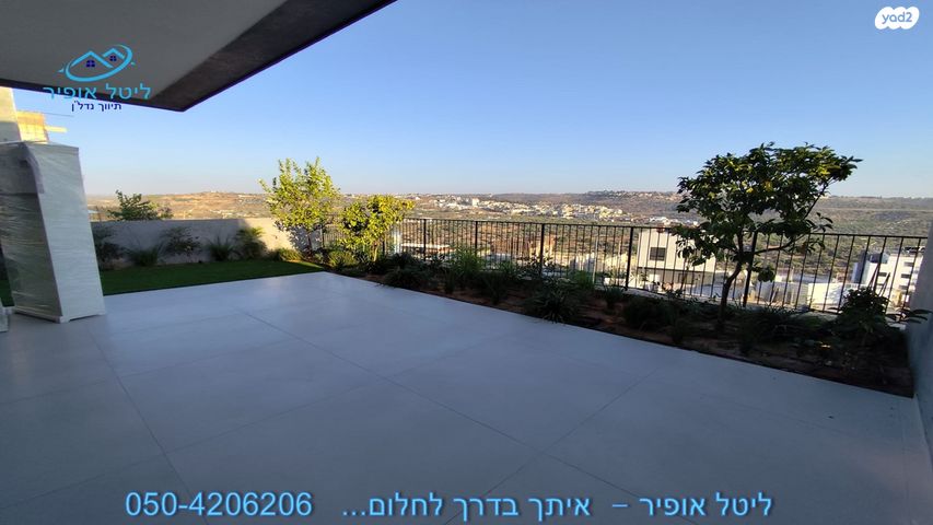 צופים