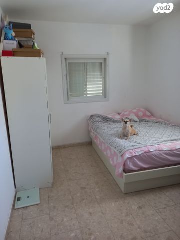 דירה, נתניה