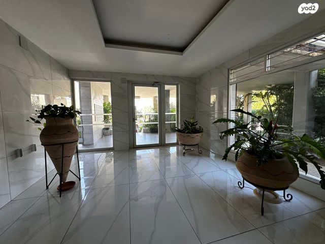 דירה, קיבוץ גלויות, חולון