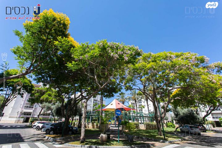 דירת גן, הפרפר, קרית ביאליק