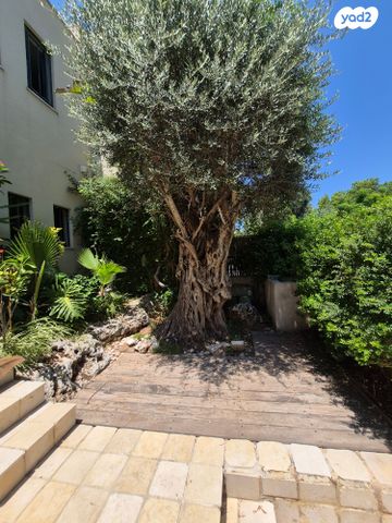 בית פרטי/ קוטג', קדימה צורן