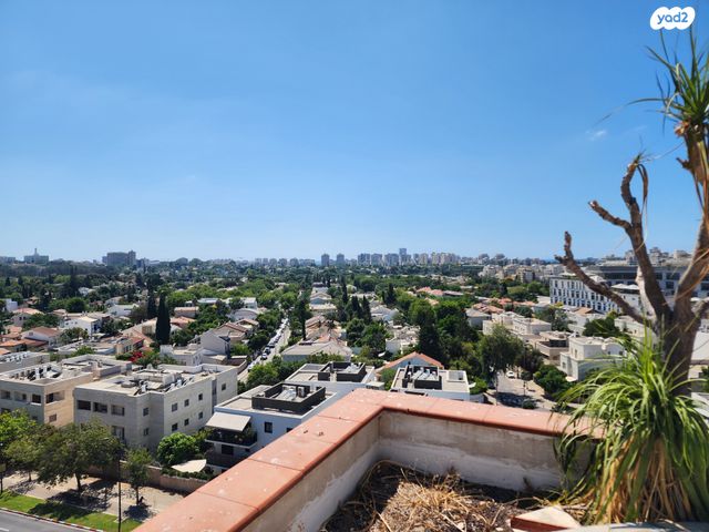 בני אפרים 244