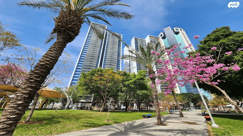 דירה, וינגייט, יד אליהו, תל אביב יפו