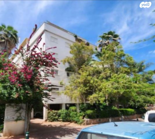 פרופ' איינשטיין 