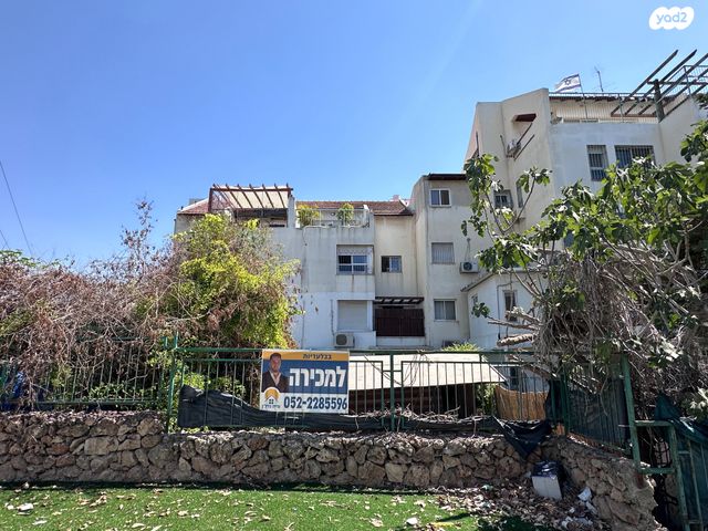 קרית אריה / שיינפלד