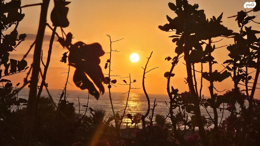 דו משפחתי, נהריה