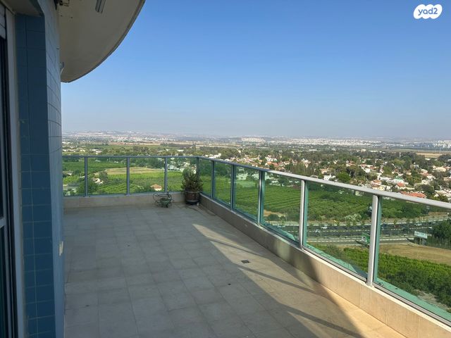 טווס 