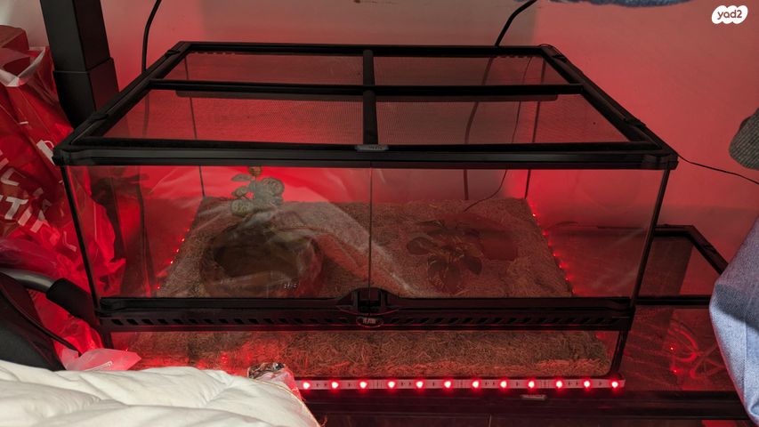 תמונת מודעה - חיות מחמד