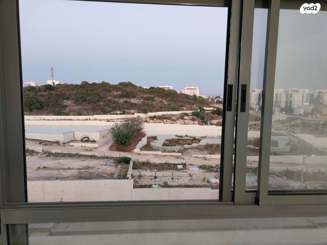 צאלון 6