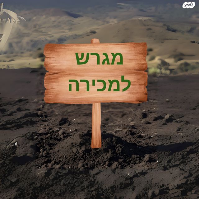 דן 113
