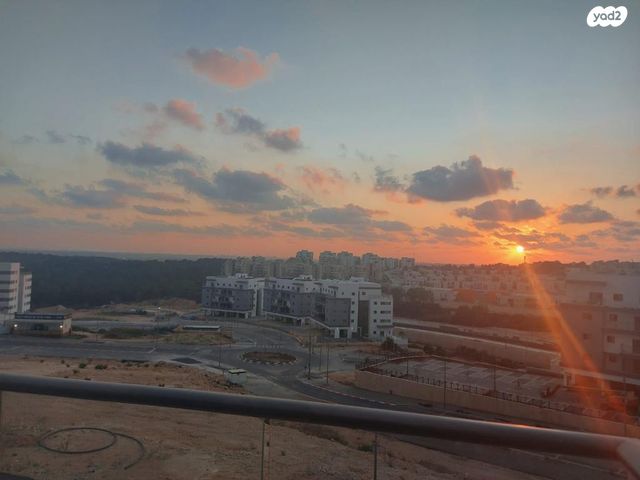 כלנית 3