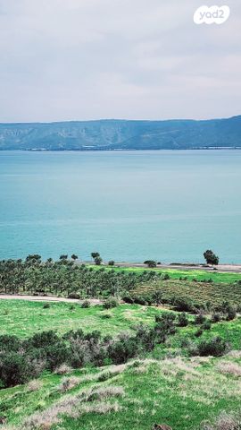 שדרות אליעזר קפלן 