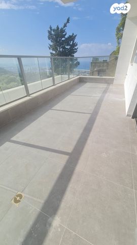 דירה, כרמליה, חיפה