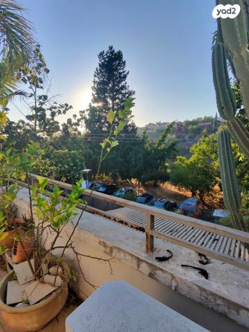 דו משפחתי, אלפי מנשה