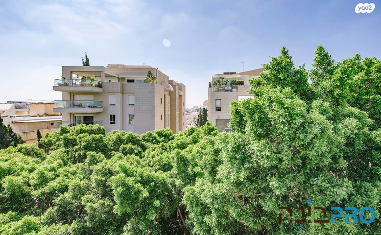 גג/ פנטהאוז, אהרון אייזנברג, א' / צפון מזרח העיר, רחובות