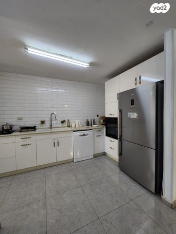 פיינשטיין 3