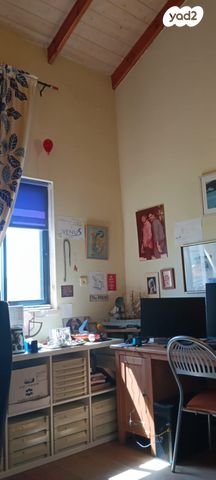 דו משפחתי, נעורים, מרכז, כפר סבא