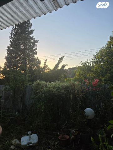 דו משפחתי, אלפי מנשה