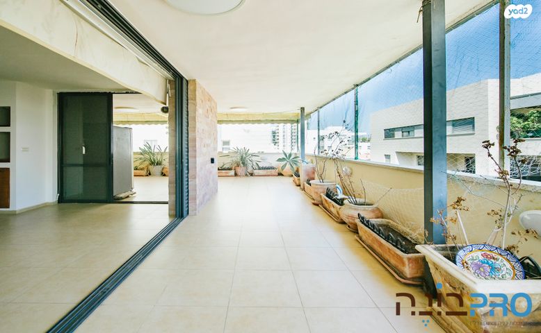 אהרון אייזנברג 