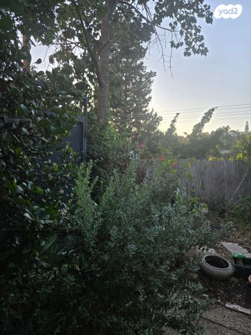 דו משפחתי, אלפי מנשה