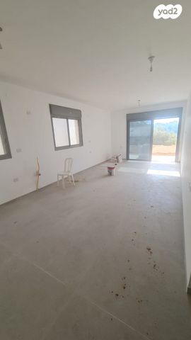 דירת גן, כרמליה, חיפה