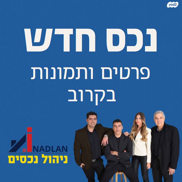 אורות