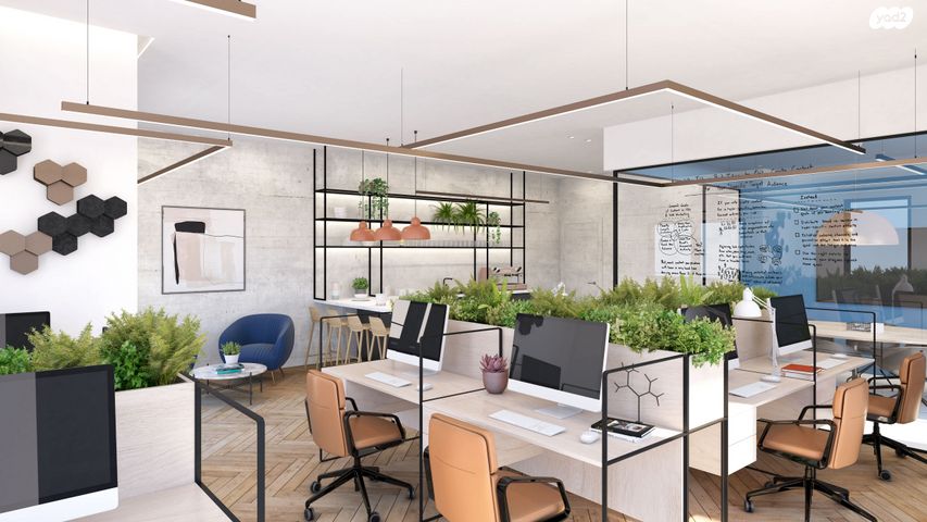 משרדים, חיפה