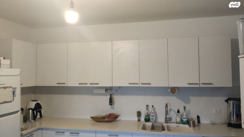 רועי קליין 29