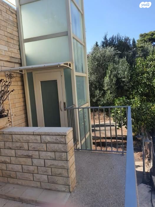 הולנד 30
