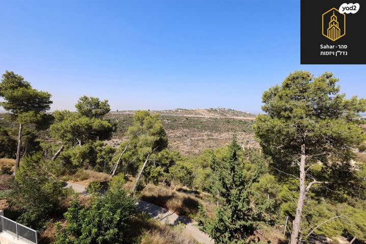 דירה, אלפי מנשה