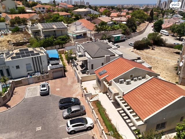 שזיף 