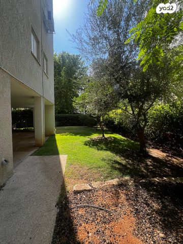 דירה, הכלנית, הפרחים, כפר סבא