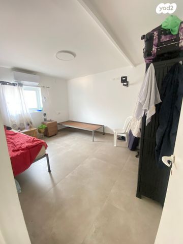 דירה, דוד נוי, מרכז העיר, עכו