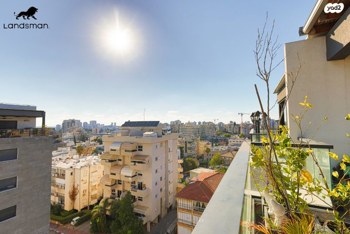 גג/ פנטהאוז, בני משה, ד' / מערב מרכז העיר, רחובות