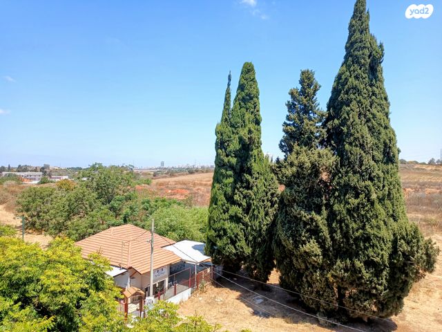 דירה, גבעת הצבר, נס ציונה