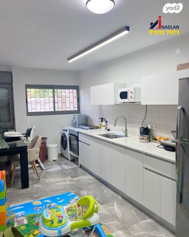 דירה, יחיאל וייסנברג, קנדי, אור עקיבא