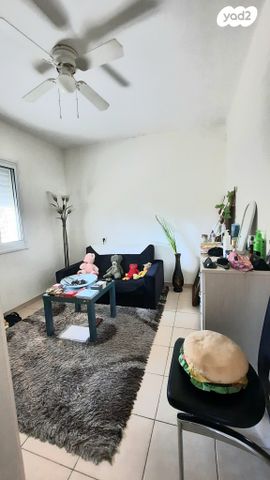 דירה, חבצלת, אשכול, כרמיאל