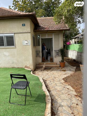 הדקל 31