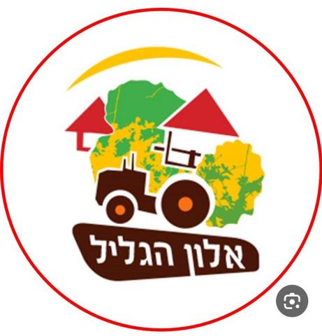 החצבים 1