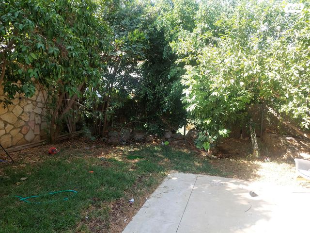 דו משפחתי, האגוז 4, לפיד, לפיד