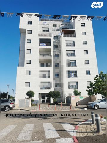 שקמה 1