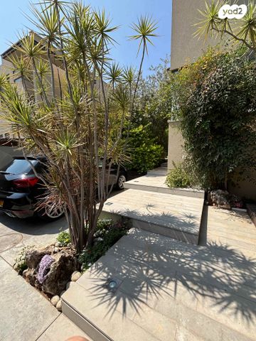 ישראל היימן 32