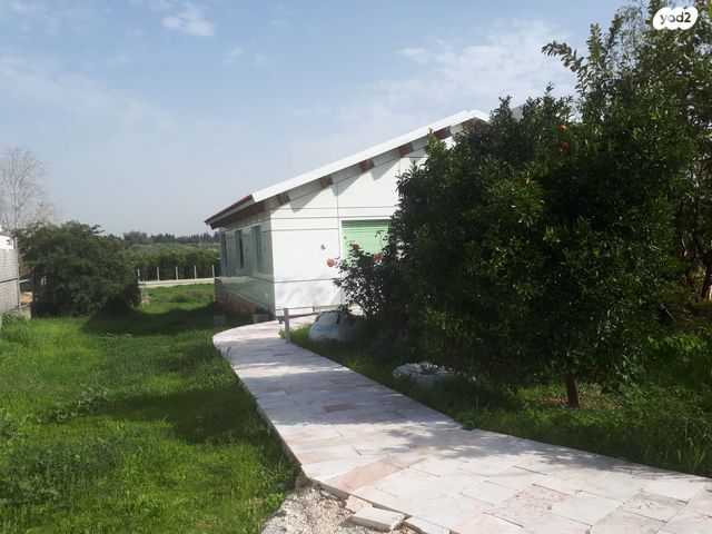 משק חקלאי/ נחלה, 600 614, בית הלוי, בית הלוי